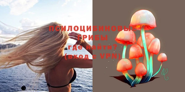 мескалин Богородицк
