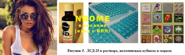 индика Богородск
