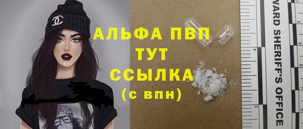 индика Богородск