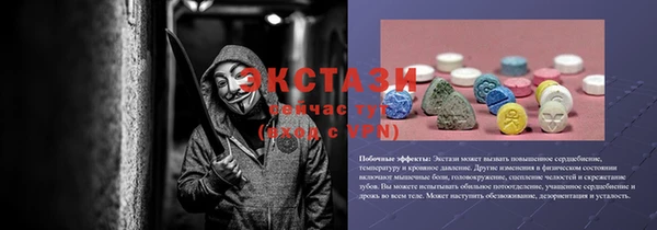 индика Богородск