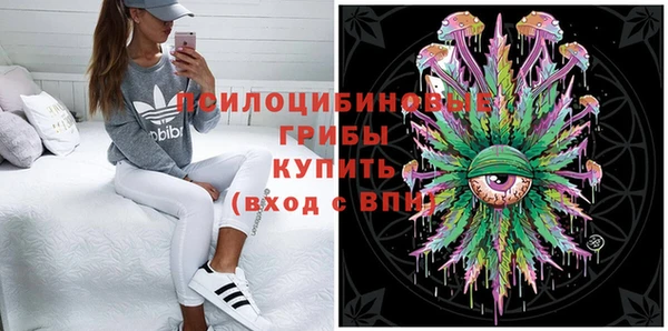 мескалин Богородицк
