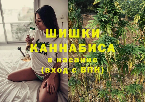 индика Богородск