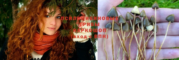 COCAINE Богданович