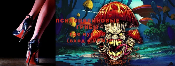 мескалин Богородицк
