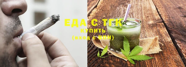 индика Богородск