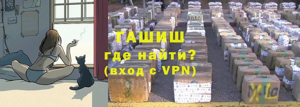 индика Богородск