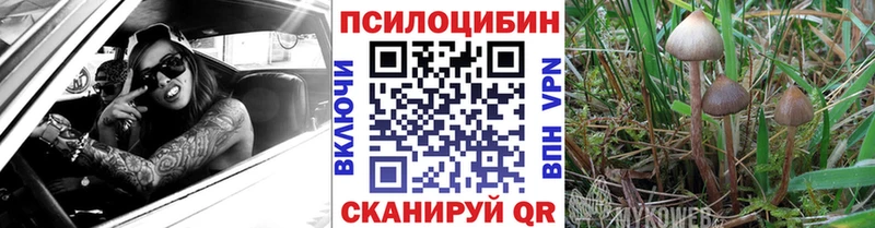 Псилоцибиновые грибы MAGIC MUSHROOMS Малоярославец